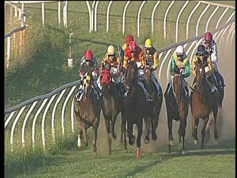 Galoppo 14/06/2017 - 7ª corsa