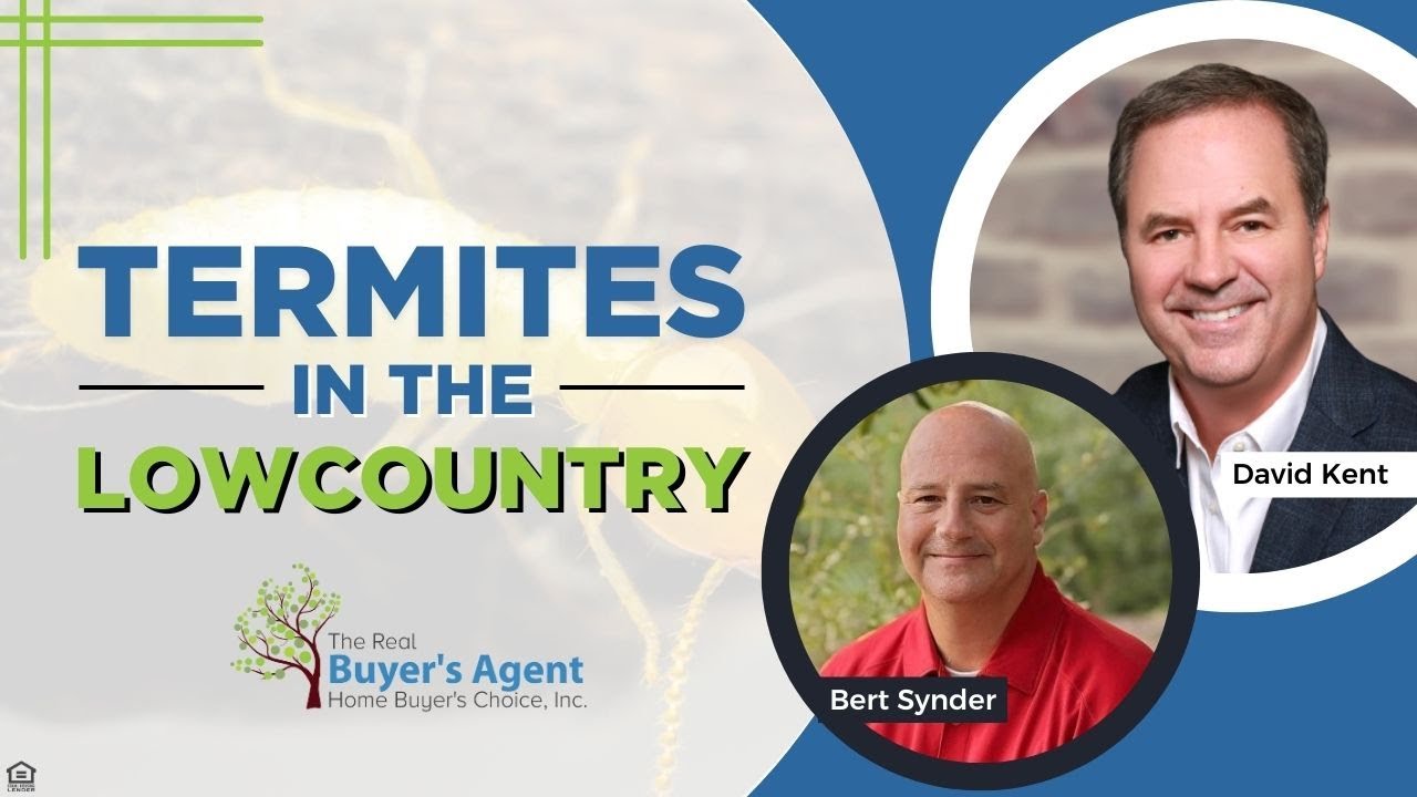 Termites in the Lowcountry with Bert Snyder