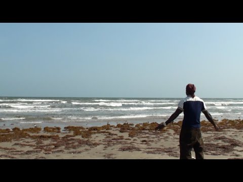 mofe. - follow my lead (Official Audio)