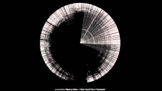 I Wish I Could Talk in Technicolor (Everything in Colour) - Wired to Follow