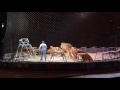 Ringling Brother S Barnum Bailey Last Big Cat Performance