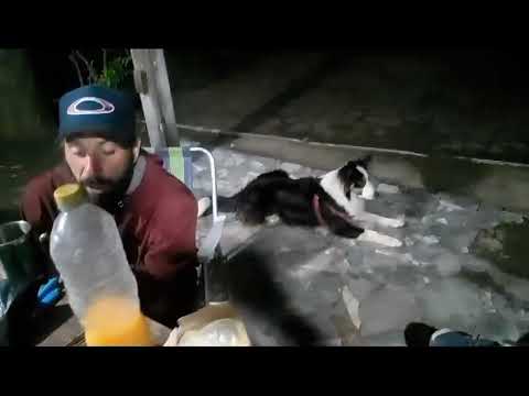 empanadas caseras en Macambara, Brasil
