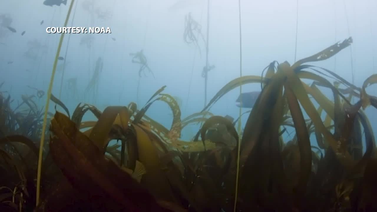 Plans for the Chumash Heritage National Marine Sanctuary are one step closer to being finalized