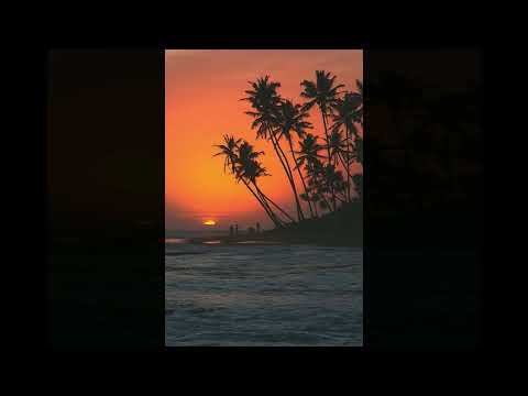 [FREE] Afrobeat x Dancehall Type Beat - "One Day"