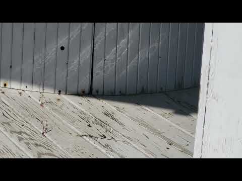 Hot Tub Occupied by Yellow Jackets in Shrewsbury, NJ