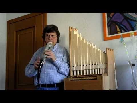 Comment qu'a moy lonteinne