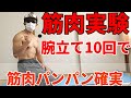 【たったの10回！】この腕立てめちゃくちゃヤバい！！