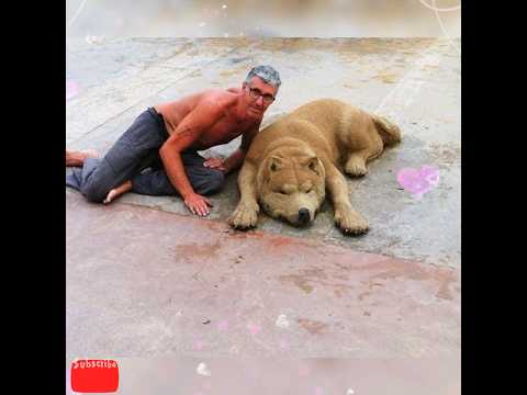 Sand Artist:;- Andoni Bastarrika