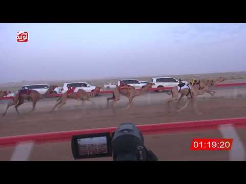 ش 5 (الشاهينيه) لـ محمد علي الدحبه الحسيني العفاري 3:01:28 ، شارة الصندوق 2026/08/14 فطامين الوقن