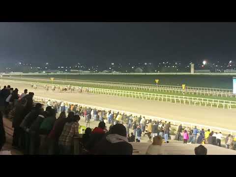 Quatro y Vinte - Polla de Potrancas (U G1)