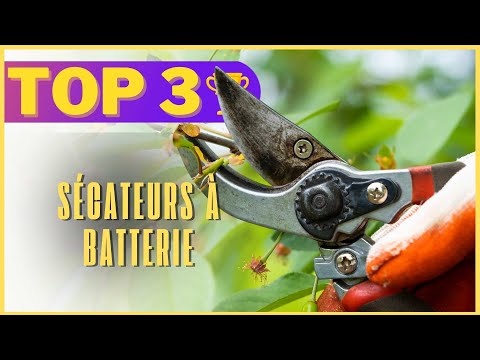 Meilleur sécateur électrique 2025 : mon comparatif des 3 tops