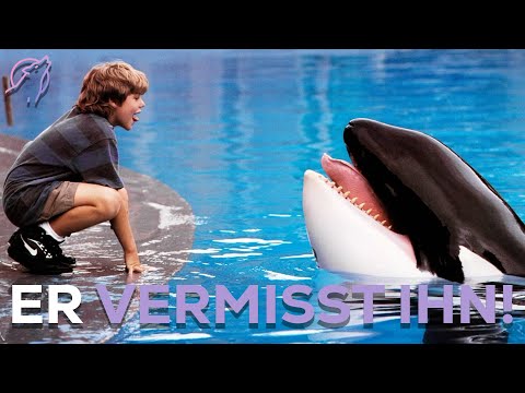 Der Orca der an Freiheit starb!