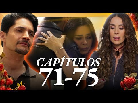 La MUERTE de Amapola anuncia el FINAL de las treguas | Amanecer | Cap 71-75