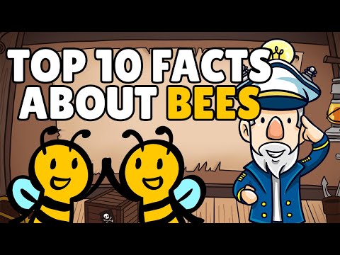 Facts about Bees | Interesting Facts about Bees | Bee Facts