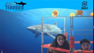 DIA 3 Expo Tiburon45