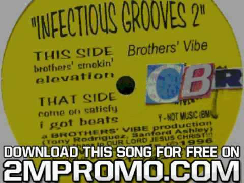 Brothers' Vibe Infectious Grooves 2 Brothers' Smokin'