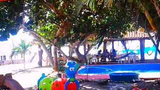 preview picture of video 'Restaurante 7 Mares en playa Troncones México'