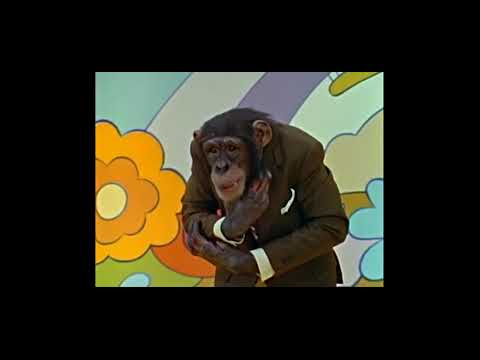 Lancelot Link and the Evolution Revolution