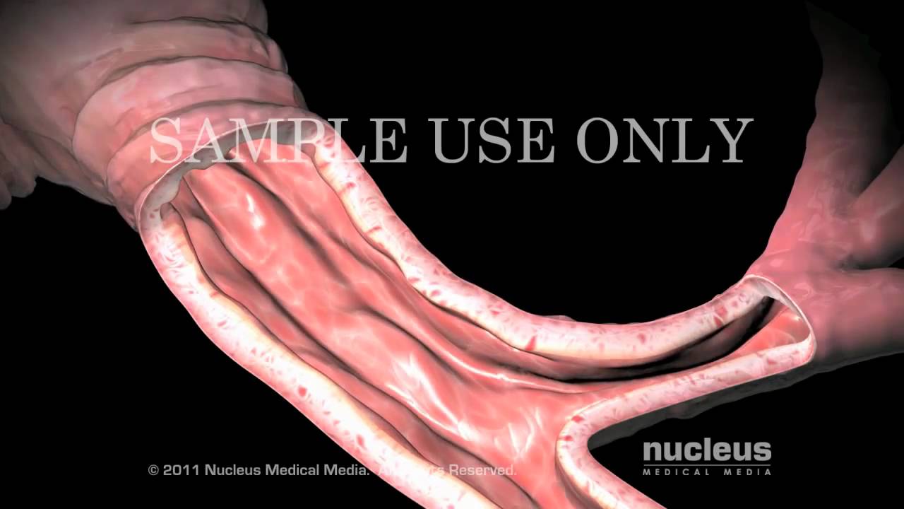 Giovanni Alvear Urzua-34