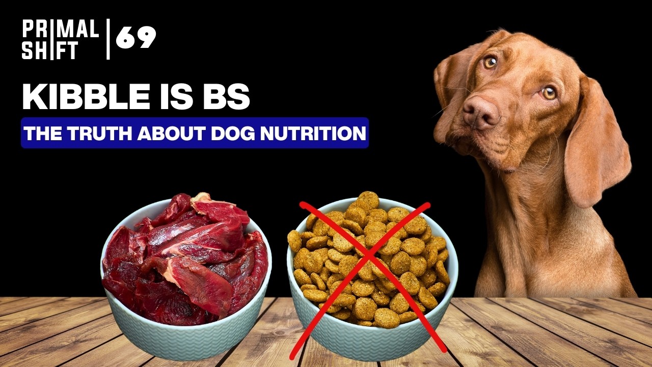 69: Is Your Dog's Diet Really Healthy? Here’s What You Need to Know