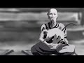 Animated Short Film A Zen Story The Ritual Cat