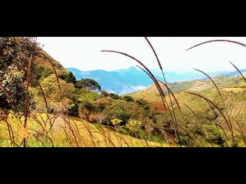 paisajes de La Llanada Nariño 🥰 2023🌾🌿🍂🍀