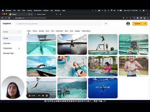 Tagbox tutorials: tag management