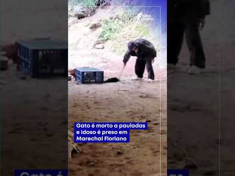 Gato é morto a pauladas e idoso é preso em Marechal Floriano