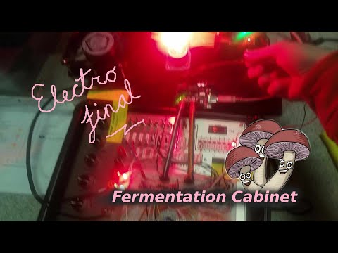 "Fermentation Cabinet" Circuit - Final Project Demo