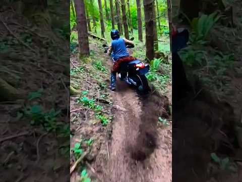 Highlights of the Clutch Arm Extension: