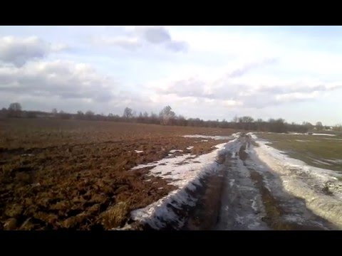video image