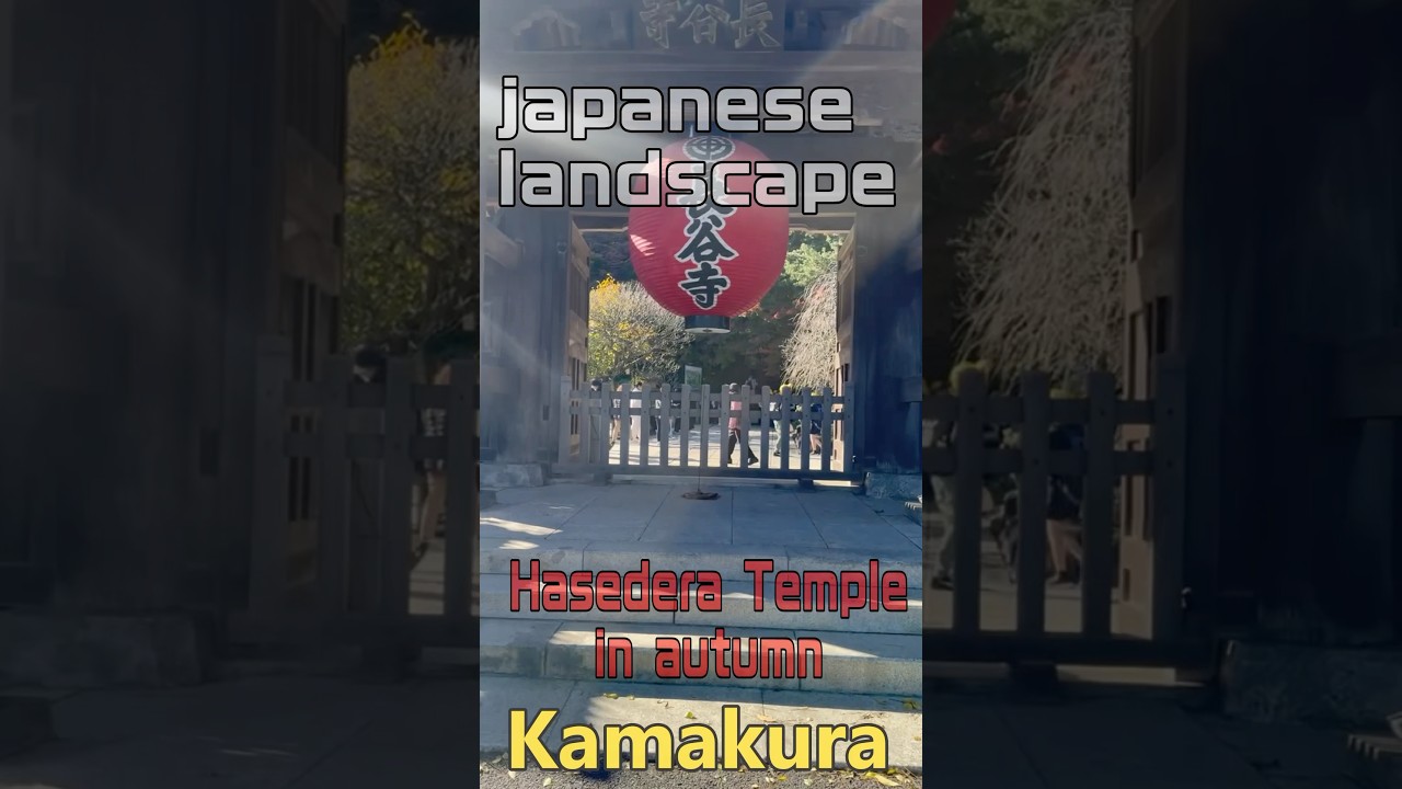 【Hasedera Temple in autumn】japanese landscape #travel