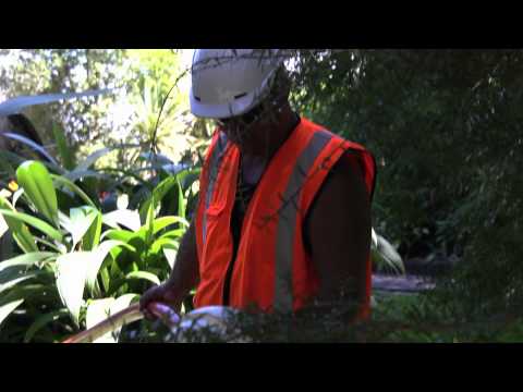 SEOPro NZ Ltd video.