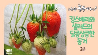 [나는농부다 237회 2부] 무헌 씨의 달콤쌉사름한 도전