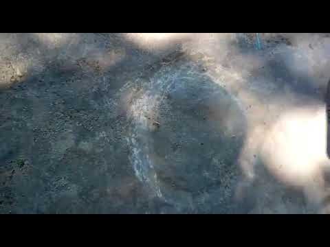 (VIDEO) Denuncian a la PDI grave daño patrimonial en petroglifos del cerro “Quiñe”