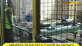 preview picture of video 'GOLIN PALLETS srl BRENDOLA (VICENZA)'