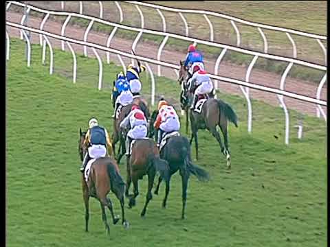 Galoppo 08/03/2018 - 5ª corsa