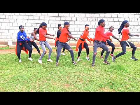 Harmonize ft Awilo Longomba & H baba - Attitude Dance Cover