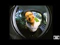 Relenza Commercial Wayne Knight 1999