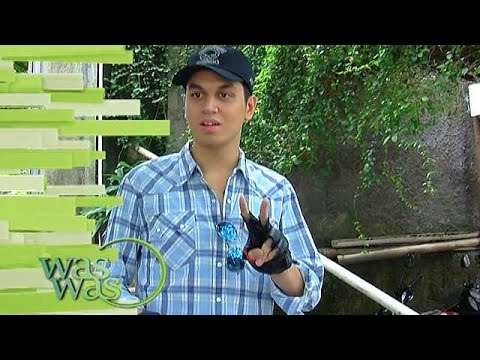 Highlight - WasWas 18 November 2015