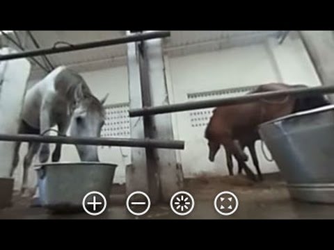 download lagu mp3 mp4 Pull Bear Mumbai, download lagu Pull Bear Mumbai gratis, unduh video klip Pull Bear Mumbai