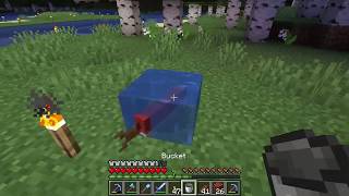 How to put Fish in a Bucket - Minecraft