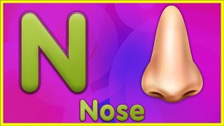 Letter N | Nose, Nest, Nuts, Newt - Learn Letter N