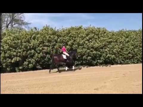 Fiderbach x Just Perfect