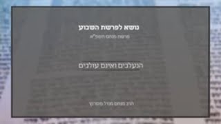 הרב מנחם מנדל פומרנץ | נושא לפרשה - פרשת פנחס תשפ"א • הנעלבים ואינם עולבים •