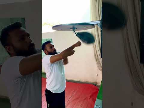 Boxing Speed Ball