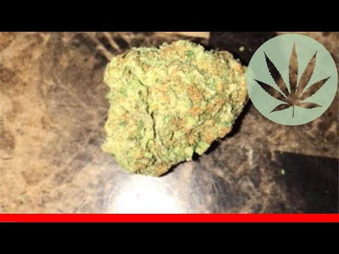 Kali Mist - All About This Strain