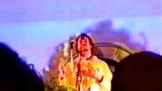 The Flaming Lips - The spiderbite song (Live)