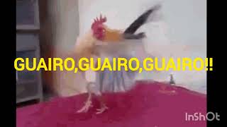 Antonio Aguilar Karaoke: Soy el hijo del Gallero