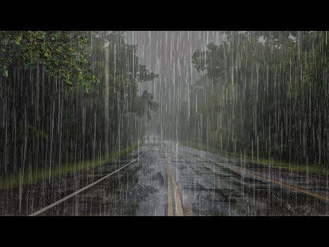 Sonido de Lluvia Fuerte y Perfecto para Dormir Profundamente - Lluvia en el Selva Tropical